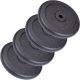 ScSPORTS Liatinové kotúče 25 kg, 30/31 mm, súprava 4 ks