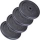 ScSPORTS Liatinové kotúče 20 kg, 30/31 mm, súprava 4 ks