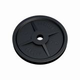 Gorilla Sports Záťažový kotúč 50/51 mm, liatina, 25 kg