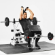Gorilla Sports Sada posilňovacej lavice + nakladací set, biela